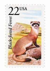 1987 22c Black-Footed Ferret, North American Wildlife Scott 2333 Mint F/VF NH 