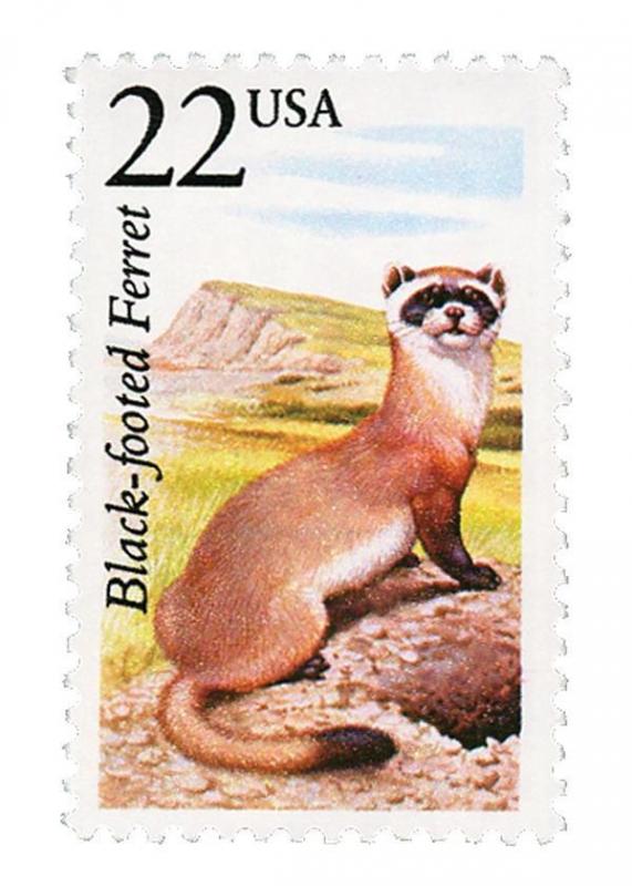 1987 22c Black-Footed Ferret, North American Wildlife Scott 2333 Mint F/VF NH 