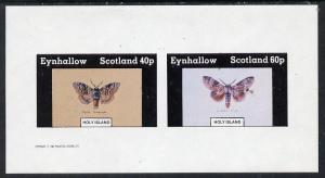 Eynhallow 1982 Butterflies (Pale Tussock & Lobster Mo...