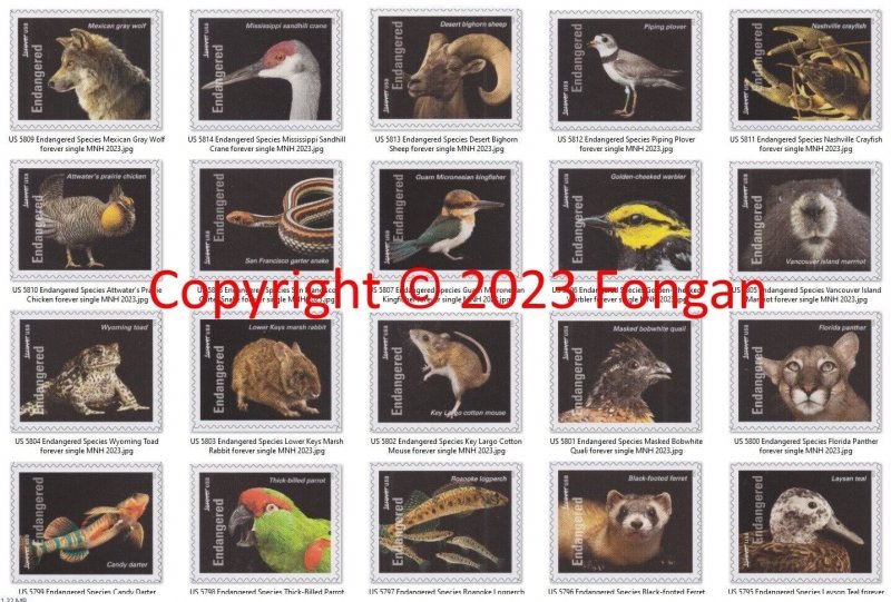 US 57955814 Endangered Species forever set (20 single stamps) MNH 2023