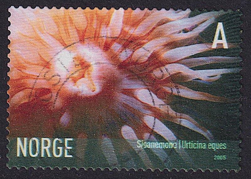 Norway - 2005 - Scott #1441 - used - Marine Life