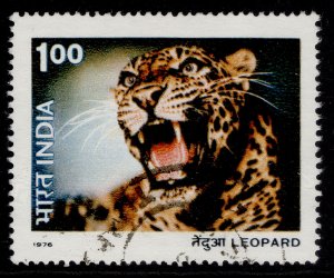 INDIA QEII SG827, 1976 1r Leopard, FINE USED.