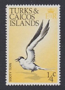 Turks and Caicos Sooty Tern Bird 1973 MNH SG#381