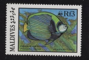 Maldive Islands   #1189  MNH  1981  Marine life  3r.emperor angelfish
