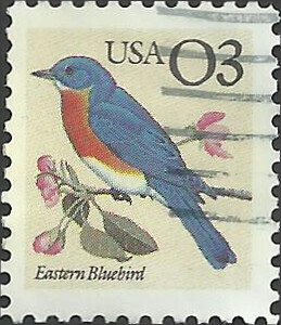 # 2478 USED EASTERN BLUEBIRD    