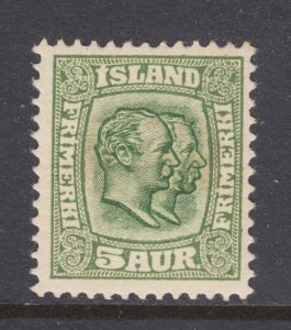 Iceland Sc 74 MNH. 1907 5a green Two Kings, light tone spot on back, bright