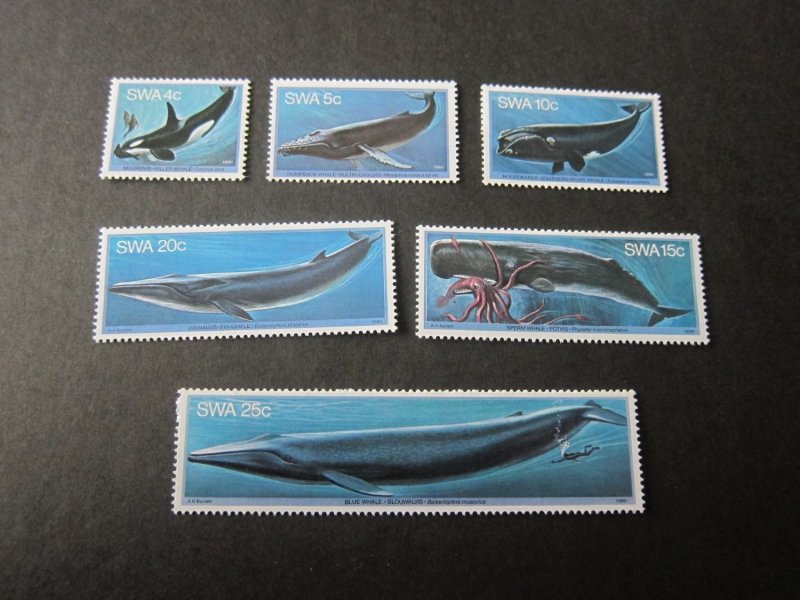 South West Africa 1980 Sc 37-42 fish MNH