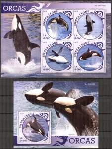 Sierra Leone 2016 Marine Life Killer Whales Orcs Sheet + S/S MNH