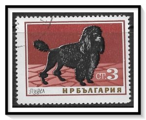 Bulgaria #1350 Poodle Dog CTO NH