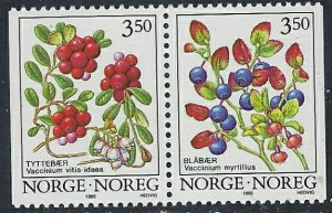 Norway 1087a MNH 1995 Pair (ak5281)