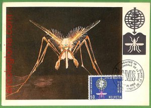 32520 - Switzerland - MAXIMUM CARD - 1962 - INSECTS MEDICINE MALARIA-