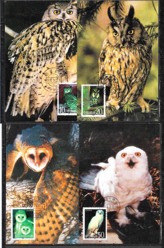 CHINA STAMPS,1995, SET OF 4 MAXI CARDS MC MAXIMUM CARDS OWLS