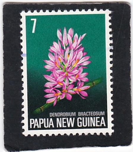 PAPUA  NEW  GUINEA, #   402    used