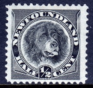 Newfoundland - Scott #58 - MH - SCV $9.00