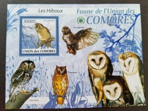 *FREE SHIP Comoros Bird Of Prey Owls 2009 Fauna (ms) MNH