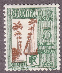 Guadeloupe J27 Avenue of Royal Palms 1928