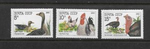 BIRDS - RUSSIA #5909-11 GEESE & CHICKENS  MNH