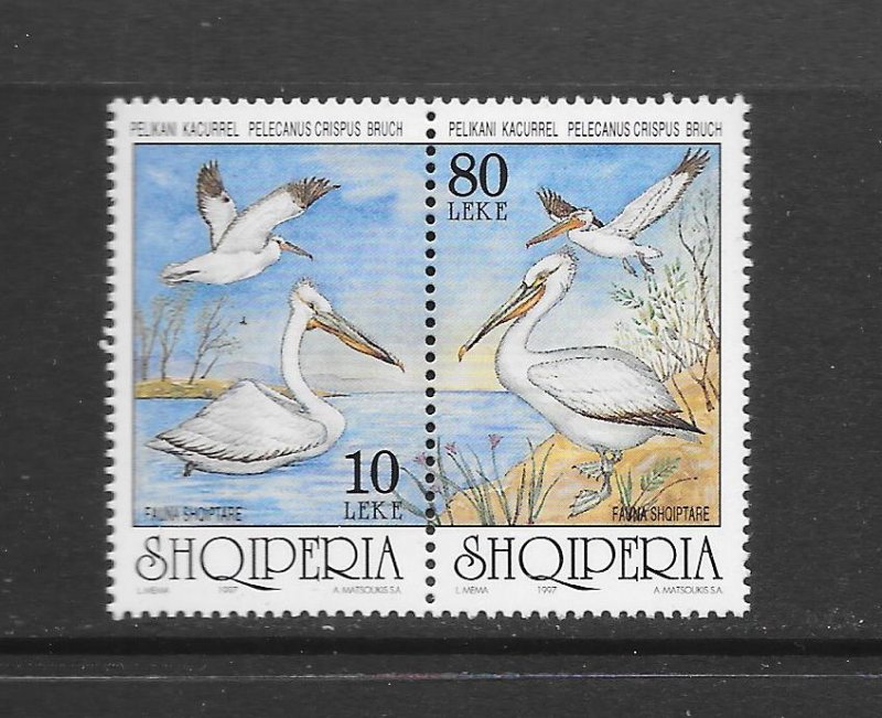 BIRDS - ALBANIA #2535a  MNH