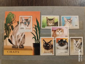 1997	Togo	cats (F6)