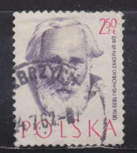 Poland 775 Benedykt Dybowski 1957