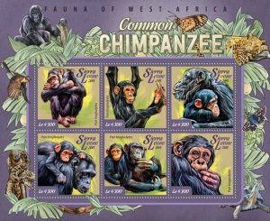 SIERRA LEONE - 2015 - Common Chimpanzees - Perf 6v Sheet -Mint Never Hinged