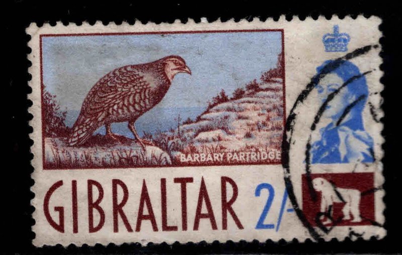 Gibraltar Scott 157 Used Barbary Partridge stamp