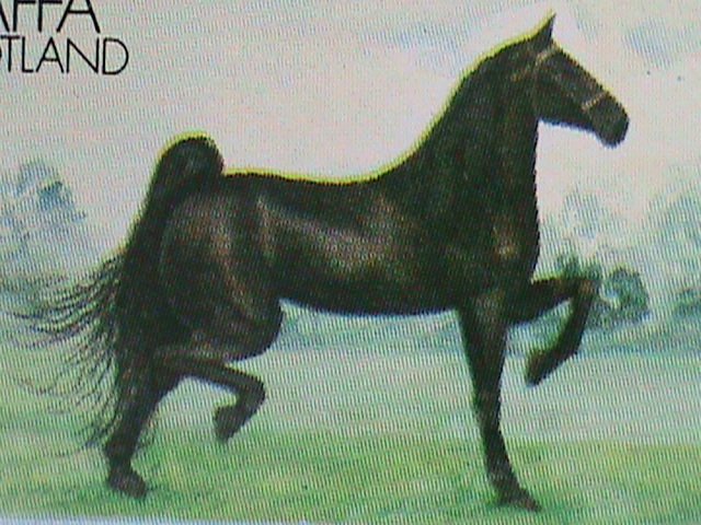 STAFFA-SCOTLAND STAMP:1973- WORLD FAMOUS HORSE MNH SHEET  LAST ONE VF