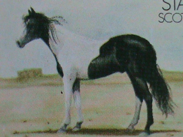 ​SCOTLAND-STAFFA STAMP-WORLD RARE FAMOUS HORSES MNH FULL-SHEET VERY FINE
