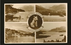 Great Britain SC#295 on PM 1955 Dumbarton Loch Lomond Postcard Used