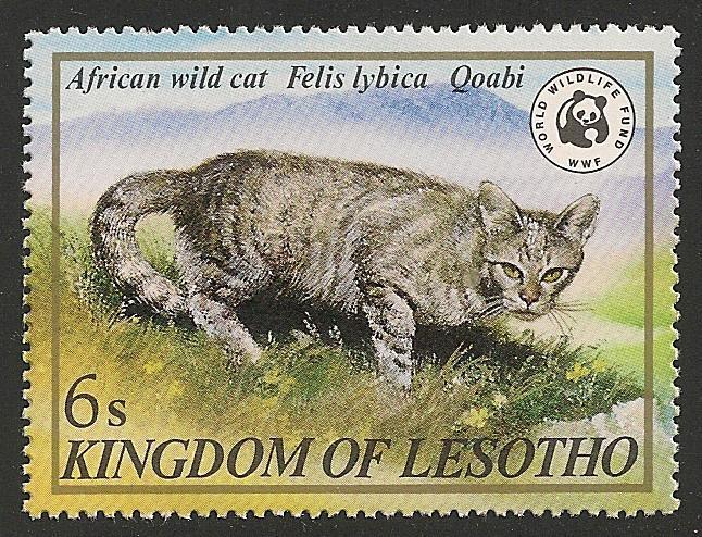 Lesotho #351 (SG #468) VF MNH - 1982 6s African Wild Cat 