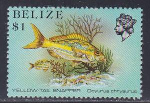 Belize # 711, Yellow Tail Snapper, Mint NH, 1/3 Cat,