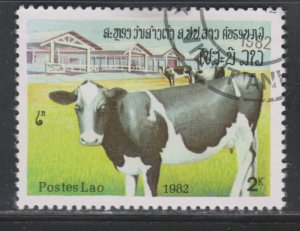 Laos 421 Cows. Farm 1982