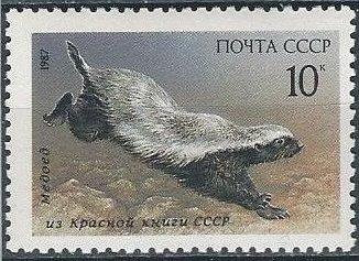 Russia 5555 (mnh) 10k bald badger