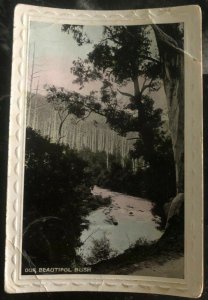 1910 Chatswood Australia Picture Postcard Cover PPC Our Beautiful Bush