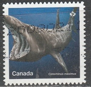 Canada   3107     (O)    2018