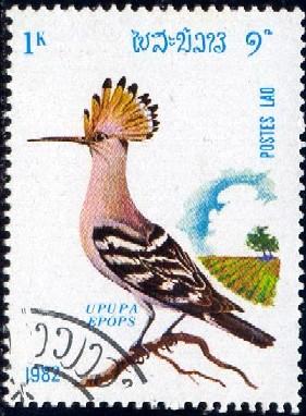 Bird, Hoopoe, Upupa Epops, Laos stamp SC#374 used