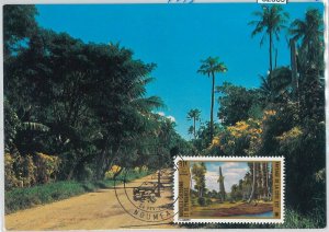 62869 - New Caledonia New Caledonia - 1973 MAXIMUM CARD PLAM TREES-