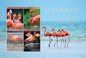 St. Vincent 2017 - Flamingos, Birds, Fauna and Flora - Sheet of 4 Stamps - MNH