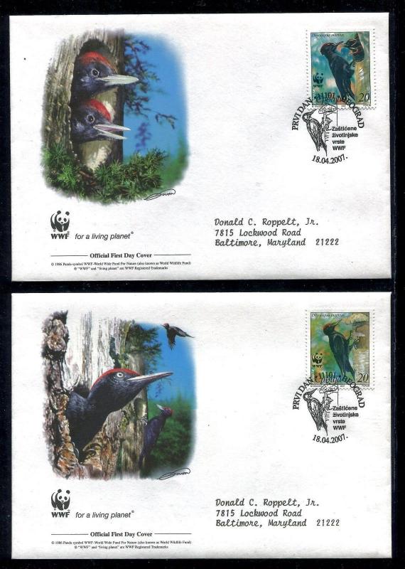 Serbia FDC WWF Birds Black Woodpecker  2007 x20235