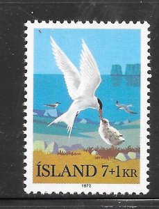 Iceland #B23 MNH Single