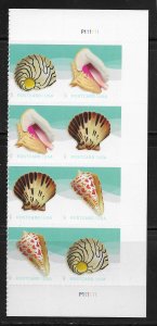US #5166a (34c) Shells ~ MNH