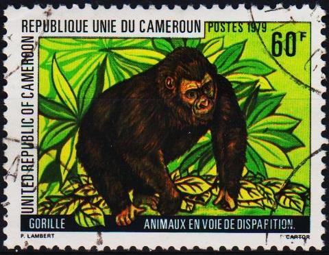 Cameroun. 1979 60f. S.G.858 Fine Used