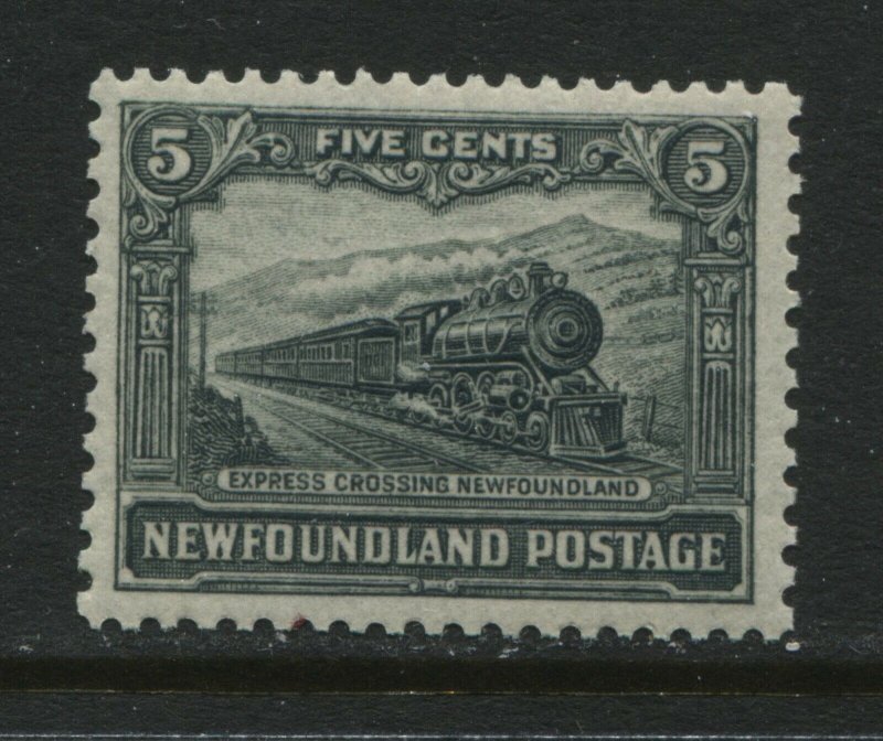 Newfoundland 1928 5 cents unmounted mint NH