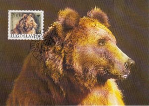 Yugoslavia 1988 Maxicard Sc #1882 200d Brown bear WWF