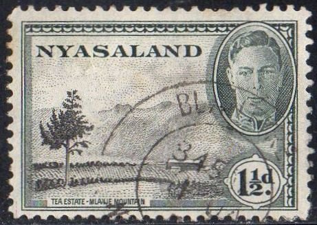 Nyasaland 1945 1½d Tea estate used