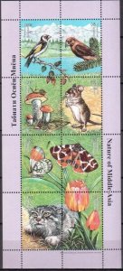 2002 Tajikistan nature birds butterflies mushrooms klb MNH 004