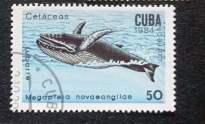 CUBA Sc# 2683 MARINE MAMMALS ocean sea life 50c  1984  used cto