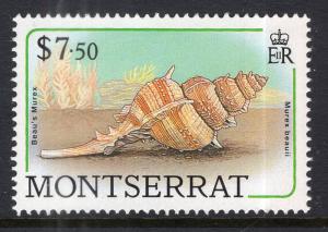 Montserrat 695 Seashell MNH VF