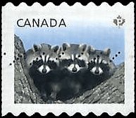 CANADA   #2506 USED (5)
