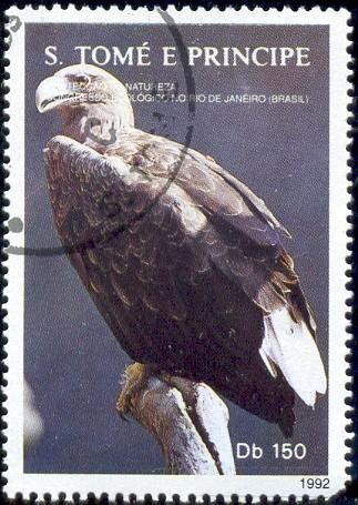 Bird, White-tailed Eagle, St. Thomas & Prince Islds SC#1054Q